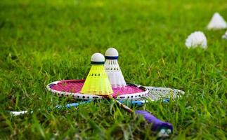 buitenshuis badminton spelen uitrustingen Aan groen gazon. foto