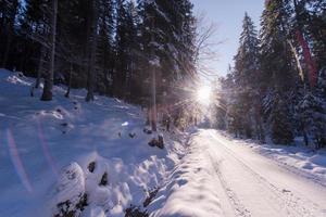 winter weg visie foto