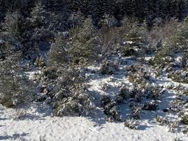 winter landschap visie foto