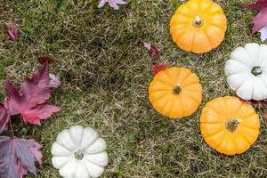 feestelijk herfstdecor van pompoenen, dennen en bladeren op een houten ondergrond. concept van thanksgiving day of halloween. plat lag herfstcompositie met kopieerruimte. foto