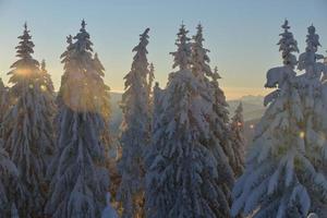 winter berglandschap foto