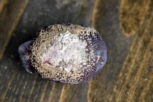 rijp verrot pruimen Aan de keuken tafel foto