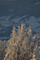 winter berglandschap foto