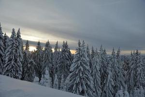 winter berglandschap foto