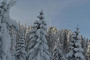 winter berglandschap foto