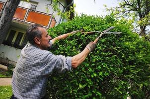 Mens tuin werk foto