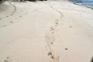 mooi schoten van de wit strand zand Aan de Seychellen paradijs eiland met voetafdrukken foto