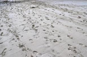 mooi schoten van de wit strand zand Aan de Seychellen paradijs eiland met voetafdrukken foto