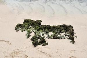 mooi schoten van de wit strand zand Aan de Seychellen paradijs eiland met voetafdrukken foto