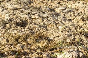 textuur van het land omgeploegd door een ploegveld foto