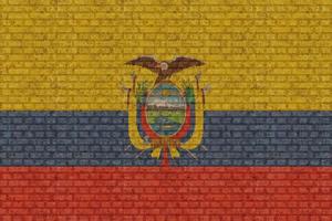 3d vlag van Ecuador Aan steen muur foto