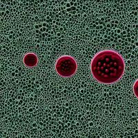 virus, bacteriën, schimmels medisch 3d achtergrond. ommicron, rhinovirus, hpv infectie, hiv, adenovirus, influenza ziekte virus cellen, antilichaam, bacteriofaag foto