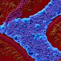 groep van virus cellen. illustratie van coronavirus cellen foto