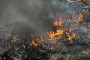 brandend van afval. reeks brand naar onwettig stortplaats. vlammen en rook. foto