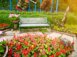 vervagen bankje in het park zomertijd natuurlijke achtergrond foto