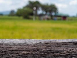 de achtergrond beeld is een rijst- veld- foto