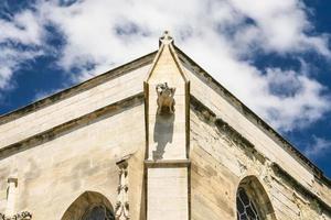 muur decoratie van kathedraal in avignon foto