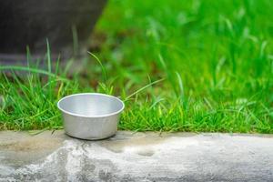 zink kop Aan de voetdeel met tuin achtergrond. foto