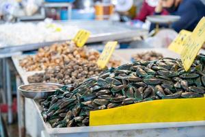 mossel in schelp, bevroren Aan ijs voor uitverkoop en koken, in vers markt. foto