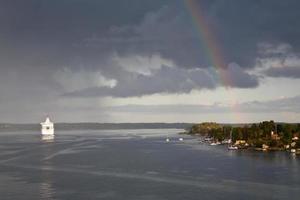 wit reis voering en regenboog foto