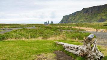 groen kust in vik ik myrdal dorp in IJsland foto