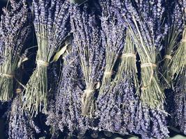 droog lavendel trossen verkoop buitenshuis foto