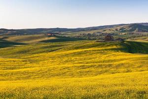 Toscaans val d orcia groen en geel velden visie foto