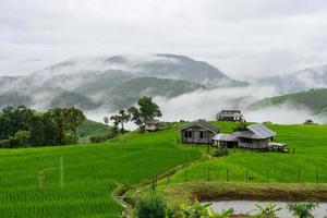landschap van klein oud huis omringen met groen rijstveld rijst- terrassen en bergen in nevelig dag in regenachtig seizoen Bij verbod vader pong piang, Chiang Mai Thailand foto