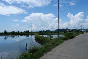 visie van de klein rijstveld naast de hoofd weg onder de Doorzichtig lucht foto