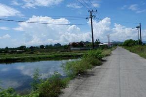 visie van de klein rijstveld naast de hoofd weg onder de Doorzichtig lucht foto