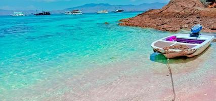 roze strand visie van komodo eiland, west nusa tenggara, Indonesië foto