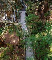 Vancouver, Canada - 2018 loopbrug trails in capilano suspensie brug park, noorden Vancouver, Canada foto