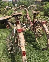 twee modderig fietsen getrokken uit van een kelder na het was overstroomd met modderig water. foto