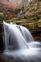 herfst waterval in Woud foto