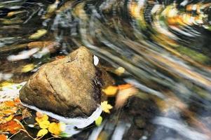 steen in water foto