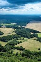 landschap van bos foto