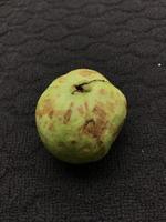 guava of jambu klutuk Aan een donker achtergrond foto