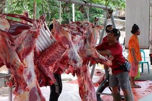oosten- Jakarta, Indonesië - juli 11, 2022, Mens vervelend een rood overhemd is snijdend rundvlees Bij de slachten in idul adha foto