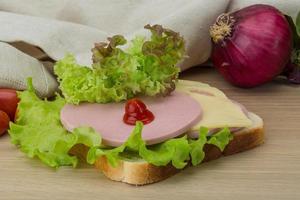 sandwich met kaas en worstjes foto