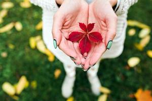 herfstbladeren in handen van het meisje foto