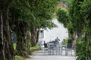 mooi hoor plaats in de buurt in de tuin van een oud kasteel foto