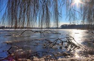 sneeuw gedekt bevroren meer landschap in noordelijk Europa Aan een zonnig dag. foto