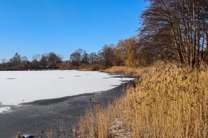 sneeuw gedekt bevroren meer landschap in noordelijk Europa Aan een zonnig dag. foto