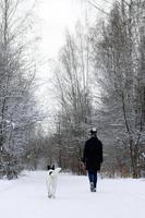 jong vrouw is wandelen met haar zwart wit hond in winter Woud. foto