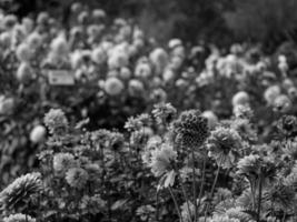 zomer tijd in de Duitse Westfalen foto