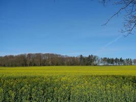 voorjaar tijd in Westfalen foto