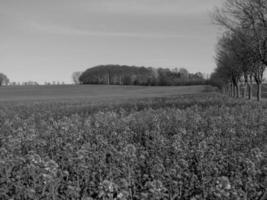 Westfaalse landschap in de buurt billerbeck foto