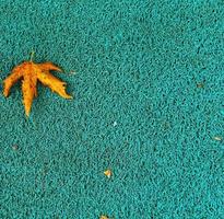 geïsoleerd foto van een esdoorn- blad vallend naar de grond welke is geelachtig bruin in kleur. esdoorn- bladeren hebben drie naar vijf wees kanten.
