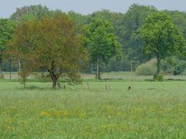 wandelen in Westfalen in de buurt duelmannen foto