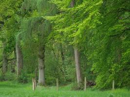 wandelen in een Woud in de buurt ahaus Duitsland foto